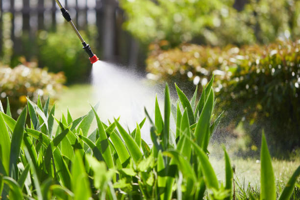 24/7 Emergency Ant Control experts in Enigma, GA